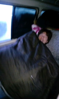 �����P���W